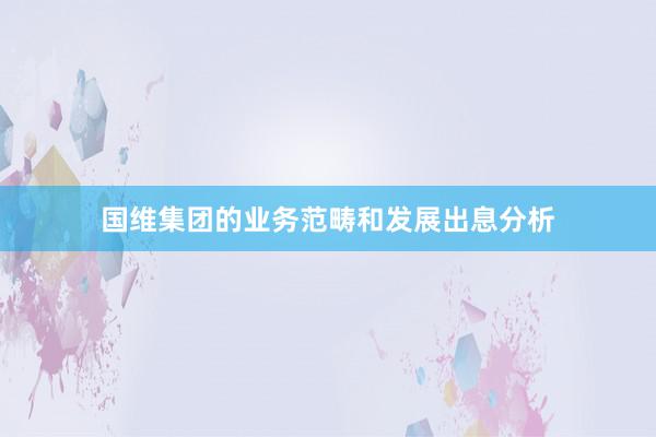 国维集团的业务范畴和发展出息分析