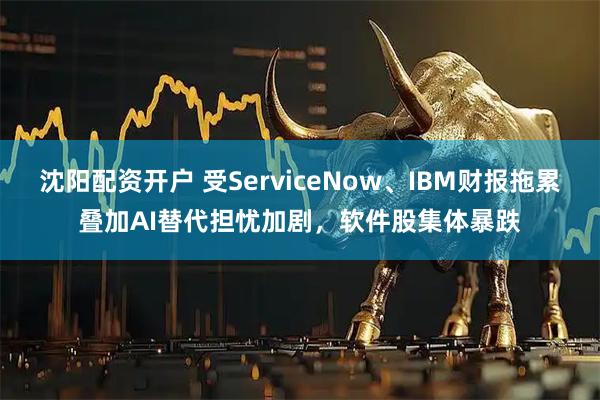 沈阳配资开户 受ServiceNow、IBM财报拖累叠加AI替代担忧加剧，软件股集体暴跌